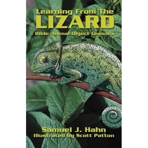 Learning from the Lizard