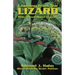 Learning from the Lizard