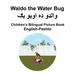 English-Pashto Waldo the Water Bug Children's Bilingual Picture Book