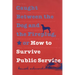 Caught Between the Dog and the Fireplug, or How to Survive Public Service