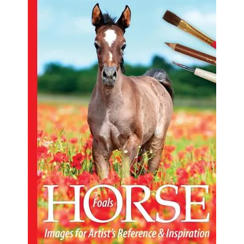 Foals: Horse Images for Artist's Reference and Inspiration