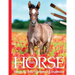 Foals: Horse Images for Artist's Reference and Inspiration