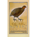 That Quail, Robert