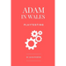 Adam in Wales - Playtesting: A Practical Guide for Board Game Designers