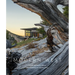 Modern West