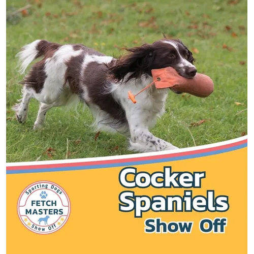 Cocker Spaniels Show Off