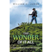 The Wonder of It All: Tales and Musings from Life's Journey