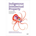 Indigenous Intellectual Property: An Interrupted Intergenerational Conversation