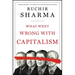 What Went Wrong with Capitalism