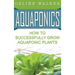 Aquaponics: How to Build Your Own Aquaponic System