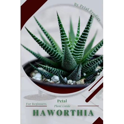 Haworthia: Prodigy Petal, Plant Guide