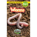 Worms: Backyard Bugs and Creepy-Crawlies (Engaging Readers, Level Pre-1)