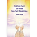 The Twin Flame and Other Soul Mate Connections (handy size)