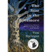 The Star in the Sycamore: Discovering Nature's Hidden Virtues in the Wild Nearby