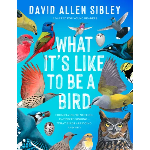 What It's Like to Be a Bird (Adapted for Young Readers): From Flying to Nesting, Eating to Singing--What Birds Are Doing and Why