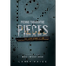 Picking Through The Pieces: The Life Story of An Aircraft Accident Investigator