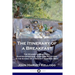 The Itinerary of a Breakfast: The Stages of Digestion; Gastro-Intestinal Care and Nutrition in the Eating of a Healthy Morning Meal