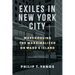 Exiles in New York City: Warehousing the Marginalized on Ward's Island