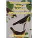 The Composite Plates of Audubon's Birds of America
