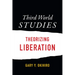 Third World Studies: Theorizing Liberation