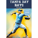 Tampa Bay Rays Fun Facts