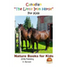 Canadian The Little Iron Horse For Kids