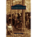 Gladwin County