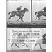 Mechanics Applied To The Race Horse: With a Study of the Construction and Functions of the Hind Legs