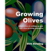 Growing Olives: Information On Setting Up Your Own Olive Growing Enterprise