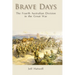 Brave Days: The Fourth Australian Division in the Great War