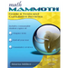 Math Mammoth Grade 4 Tests and Cumulative Reviews
