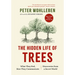 The Hidden Life of Trees: What They Feel, How They Communicate--Discoveries from a Secret World