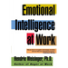 Emotional Intelligence at Work