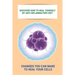 Discover How To Heal Yourself By Anti Inflammatory Diet: Changes You Can Make To Heal Your Cells: Anti Inflammatory Diet What Not To Eat