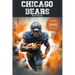 Chicago Bears Fun Facts