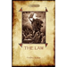 The Law