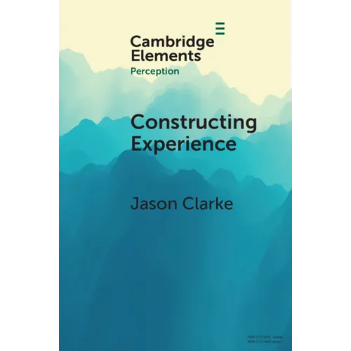 Constructing Experience