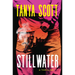 Stillwater: A Luke Harris Thriller