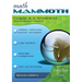 Math Mammoth Grade 4-A Worktext, International Version