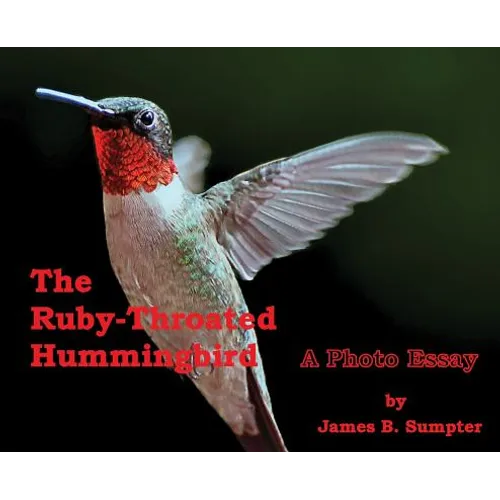 The Ruby-throated Hummingbird: A photo essay
