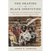 The Shaping of Black Identities: Redefining the Generations Through the Legacy of Race and Culture