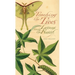 Teaching the Trees: Lessons from the Forest