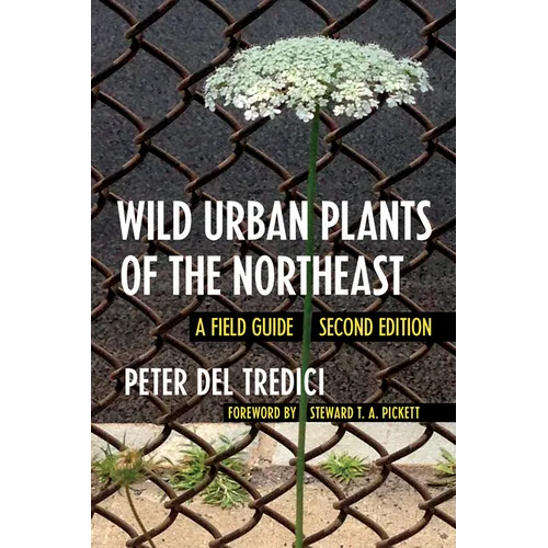 Wild Urban Plants of the Northeast: A Field Guide