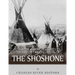 Native American Tribes: The History and Culture of the Shoshone