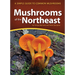 Mushrooms of the Northeast: A Simple Guide to Common Mushrooms