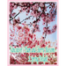 Vancouver's Plum and Cherry Blossoms: A Spring Delight