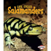Salamanders