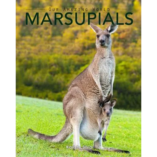 Marsupials: Amazing Pictures & Fun Facts of Animals in Nature