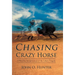 Chasing Crazy Horse: A Wasichu Interpretation of the Lakota Tragedy