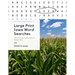 Large Print Iowa Word Searches: 200 Find-a-Word Puzzles about the Hawkeye State